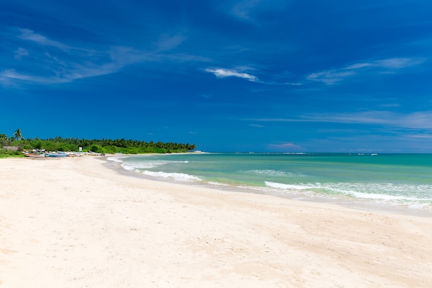 Tropikalna plaża na Sri Lance. Letnie wakacje i koncepcja wakacji dla turystyki.