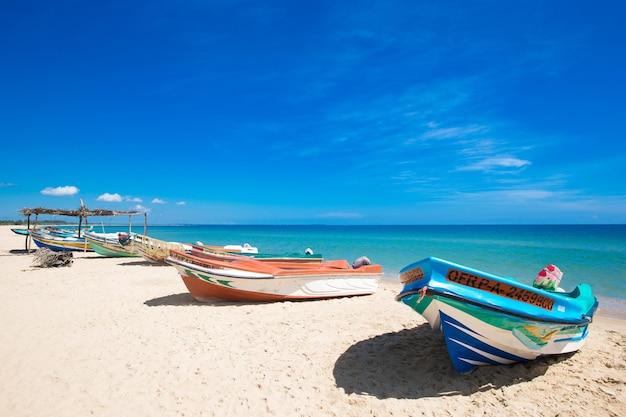 Tropikalna Plaża Na Sri Lance