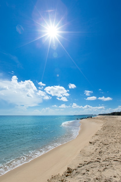 Tropikalna plaża na Sri Lance