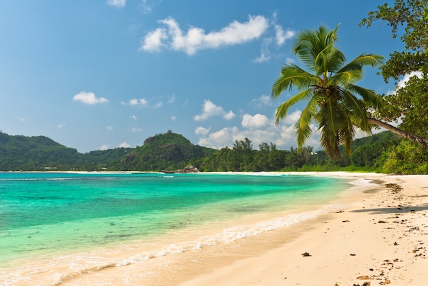 Tropikalna plaża na wyspie Mahe, Seszele