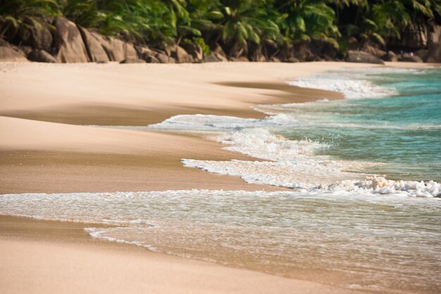 Tropikalna Plaża Na Wyspie Mahe Seychelles W Słoneczny Dzień
