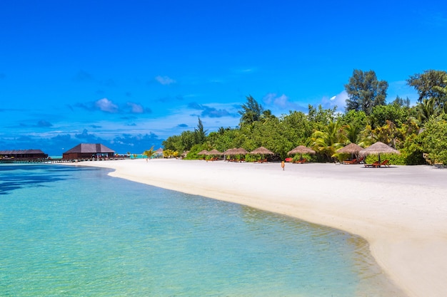 Tropikalna Plaża Na Wyspie Malediwy