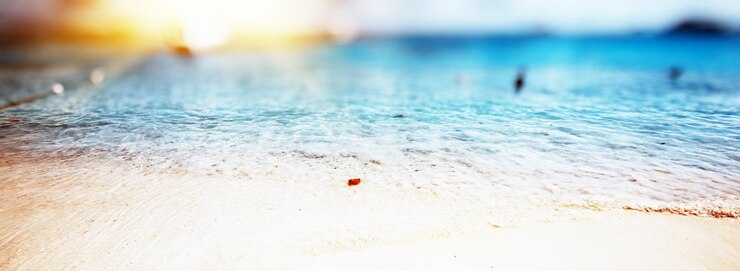 Zdjęcie tropikalna plaża oceaniczna
