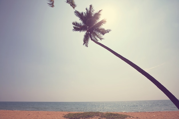 Tropikalna Plaża Serenity, Filtr Instagram