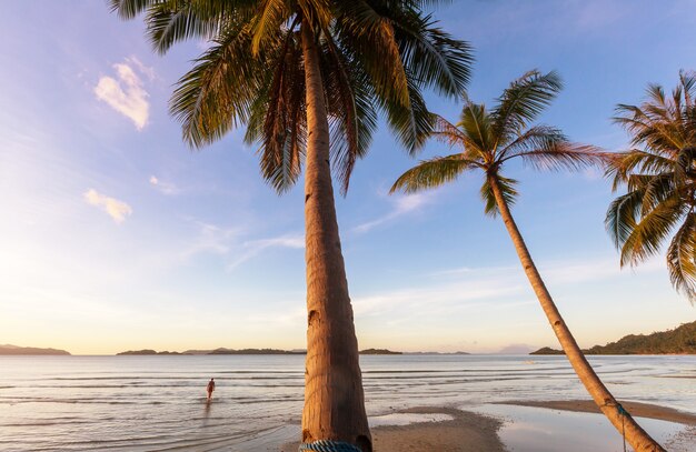 Tropikalna plaża Serenity, filtr Instagram