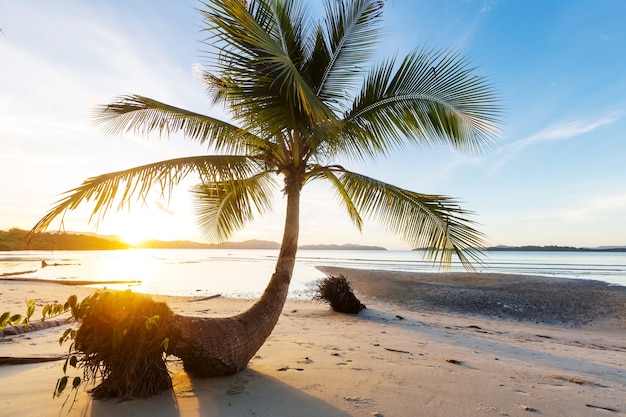 Tropikalna plaża spokoju