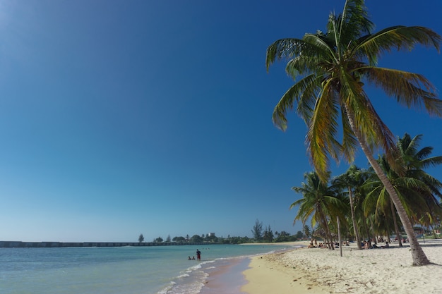 Tropikalna Plaża Widok Z Ludźmi W Playa Giron, Kuba