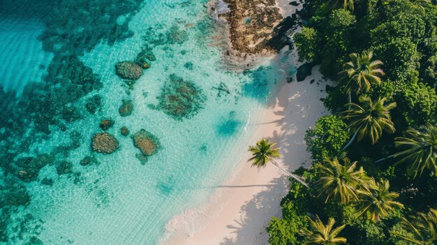 Zdjęcie tropikalna plaża z czystą, niebieską wodą