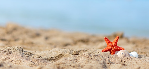 Tropikalna Plaża Z Gwiazdą Morza Na Piasku, Tło Wakacje Letnie. Podróże I Wakacje Na Plaży, Wolne Miejsce Na Tekst.