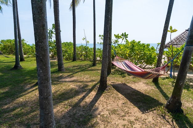 Tropikalna Plaża Z Hamakiem Pod Palmami W Słońcu