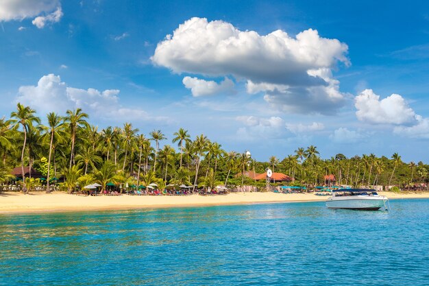 Tropikalna plaża z palmami na wyspie Koh Samui, Tajlandia