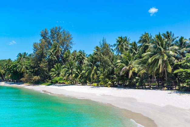 Tropikalna Plaża Z Palmami Na Wyspie Koh Samui