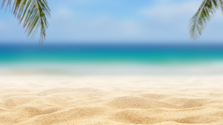 Zdjęcie tropikalna plaża z palmami