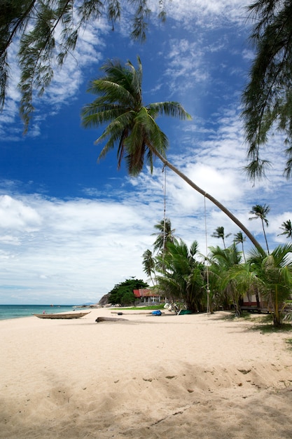 Tropikalna plaża