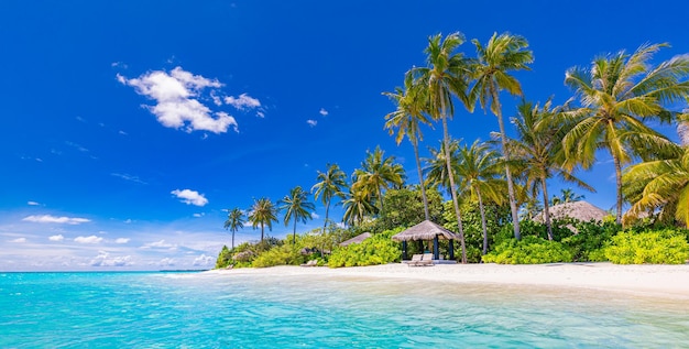 Tropikalna rajska plaża Letnie wybrzeże palmy fale spokojne morze niebo Luksusowe miejsce na wakacje