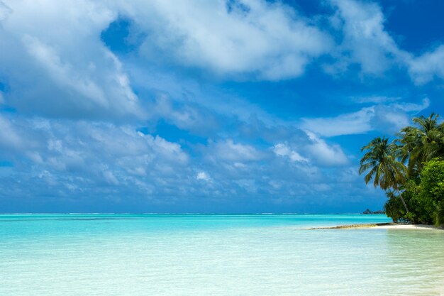 Tropikalna wyspa Malediwy z białą piaszczystą plażą i morzem