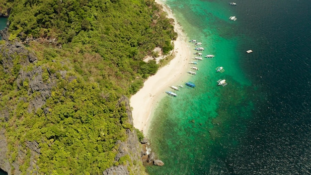 Tropikalna wyspa z dronami powietrznymi z zielonymi liśćmi piaszczystej plaży i laguną palmową z lazurem i cle