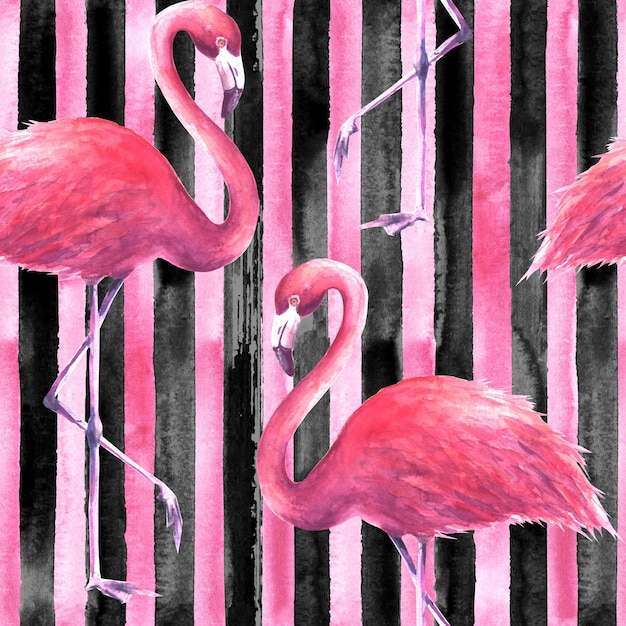 Zdjęcie tropikalne egzotyczne różowe flamingi na pionowe paski czarno-różowe tło. ilustracja akwarela. wzór do pakowania, tapet, tekstyliów, tkanin.