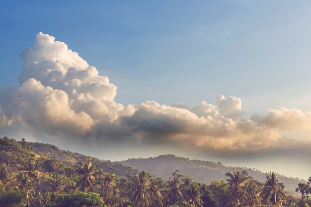 Tropikalne krajobrazy na wyspie Bali, Indonezja