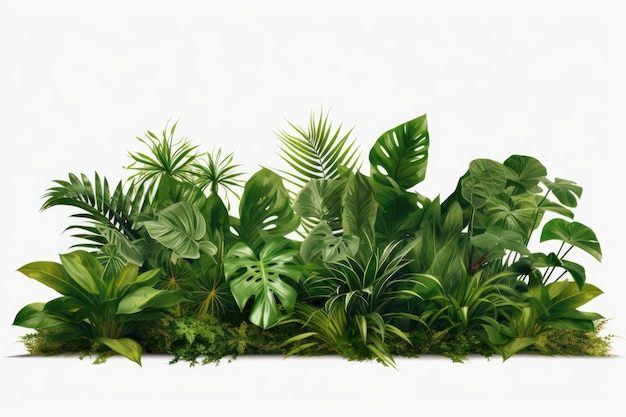 Tropikalne liście liście rośliny krzak kompozycja kwiatowa Natura tło na przezroczystym tle Wibrujące i bujne, tworząc hipnotyzującą atmosferę Wygenerowano sztuczną inteligencję