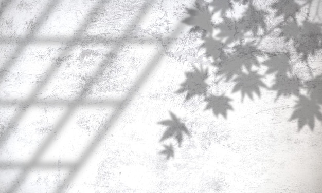 Tropikalne liście naturalna nakładka cień na białym tle tekstury