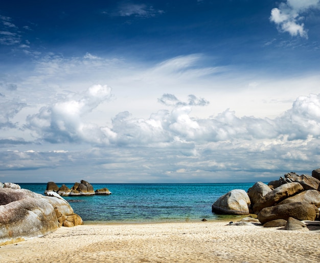 Tropikalne morze tropikalnej plaży