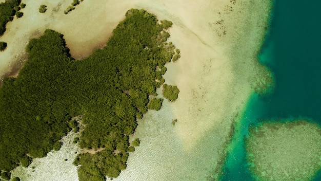 Zdjęcie tropikalne wyspy i rafa koralowa na filipinach, palawan