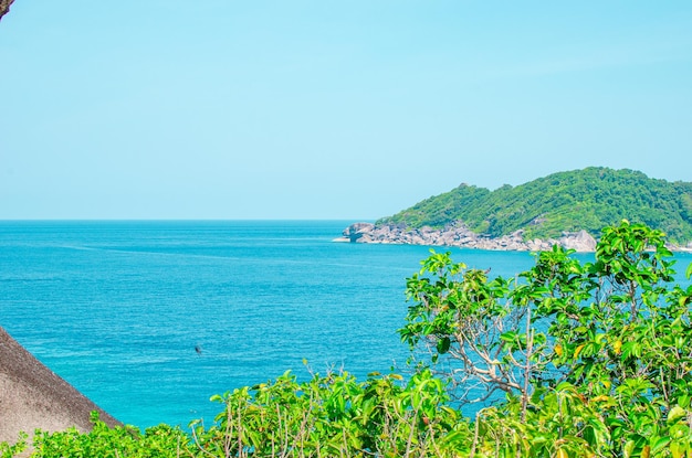 Tropikalne Wyspy Oceanu Niebieskiej Wody Morskiej I Białej Piaskowej Plaży Na Wyspach Similan Z Słynną Skałą żaglową Phang Nga Krajobraz Przyrody Tajlandii