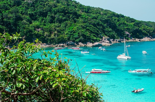 Tropikalne Wyspy Oceanu Niebieskiej Wody Morskiej I Białej Piaskowej Plaży Na Wyspach Similan Z Słynną Skałą żaglową Phang Nga Krajobraz Przyrody Tajlandii