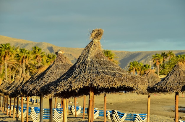 tropikalnej plaży