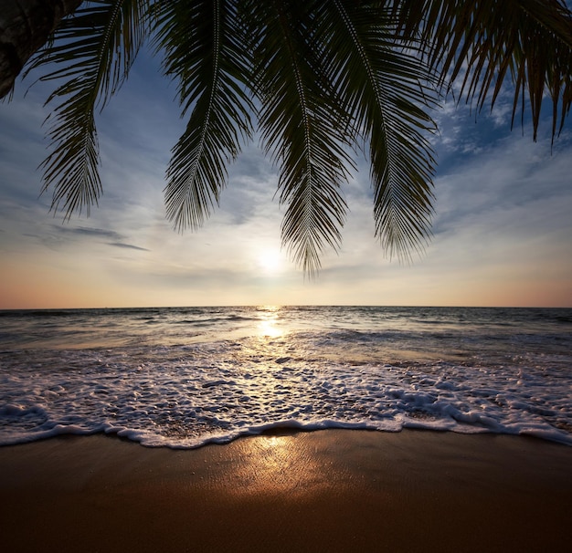 tropikalnej plaży