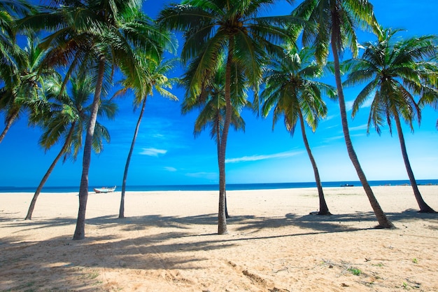 tropikalnej plaży