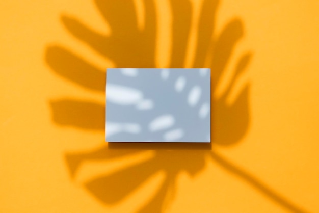 Tropikalny cień liści palmy monstera na białej ramce karty Pomarańczowy letni plakat