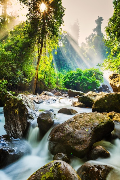 Tropikalny wodospad Phnom Kulen Kambodża