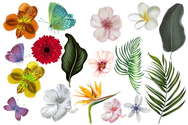 Tropikalny zestaw z zielonymi liśćmi i kwiatami