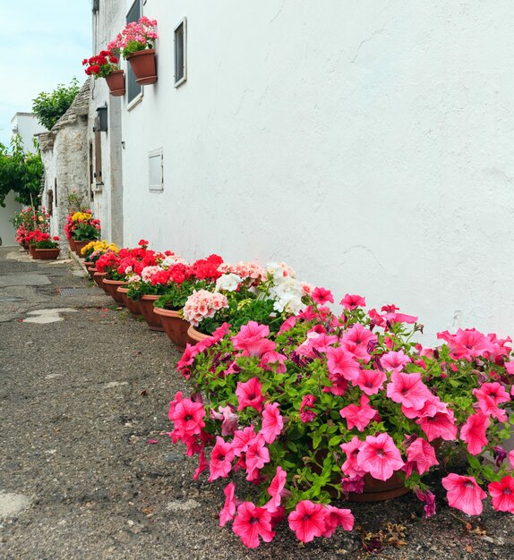 Trulli Domy Ulica W Alberobello Włochy