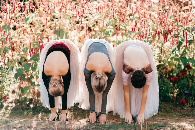 Trzech elastycznych tancerzy baletowych rozciągających się nad krzakami z kwiatami w słoneczny dzień
