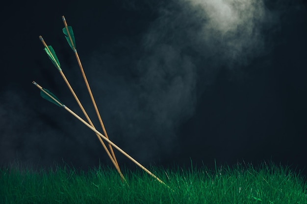 Zdjęcie trzy drewniane strzały w trawie piękne tło smogu średniowieczna broń ręcznie wykonana