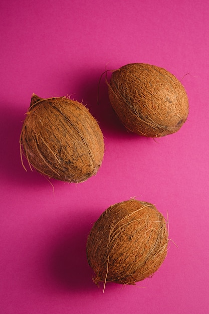 Trzy Kokosowej Owoc Na Wibrującym Różowym Purpurowym Prostym Tle, Tropikalny Pojęcie, Odgórny Widok