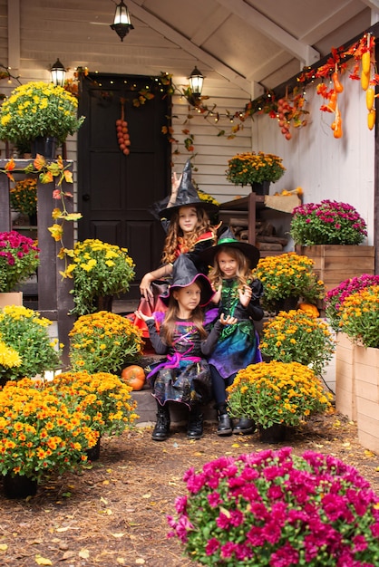 trzy małe dziewczynki w kostiumach wiedźmy świętują zabawę na Halloween