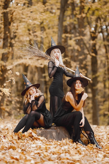 Trzy młode dziewczyny czarownice w lesie na Halloween. Dziewczyny w czarnych sukienkach i stożkowych kapeluszach. Czarownice trzymające miotłę.