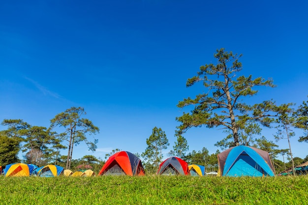 Trzy namioty na terenie kempingu w pięknym lesie