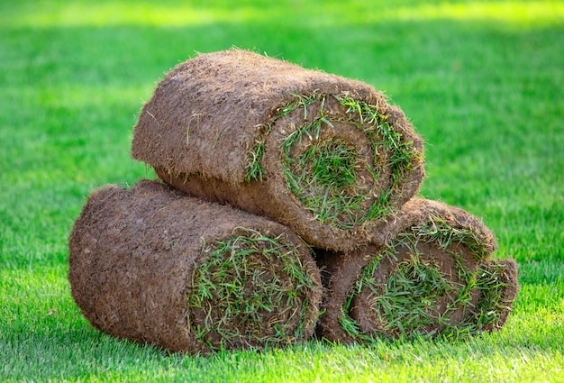 Zdjęcie trzy rolki trawy trawnik na podwórku w słoneczny dzień. gotowa trawa do układania, zagospodarowanie terenu w pobliżu domku.