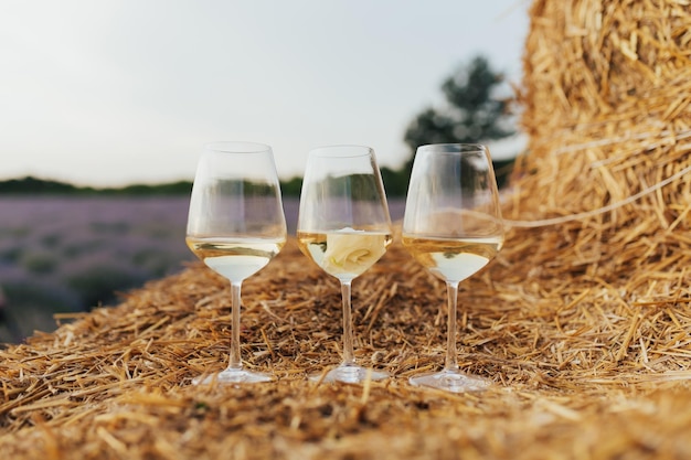 Trzy szklanki białego wina na stogu siana wśród lawendy