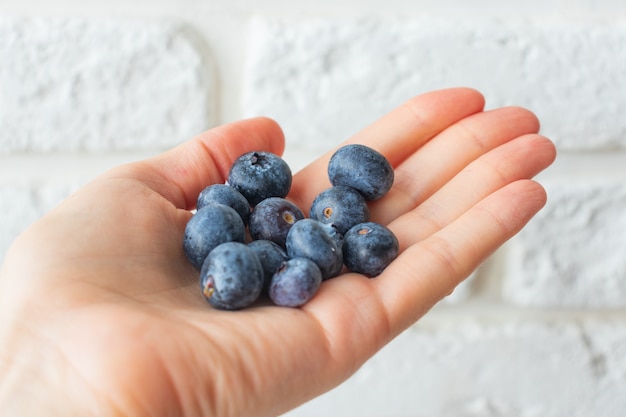 Trzymaj Rękę Zbiór Letni Dżem Składnik Organiczny Bio Smaczna Jagoda Zdrowa Naturalna Fioletowa Jagoda Owocowa Na Słodki Deser Witaminowa Przekąska Przeciwutleniająca Ze świeżą Mokrą Kroplą Wody