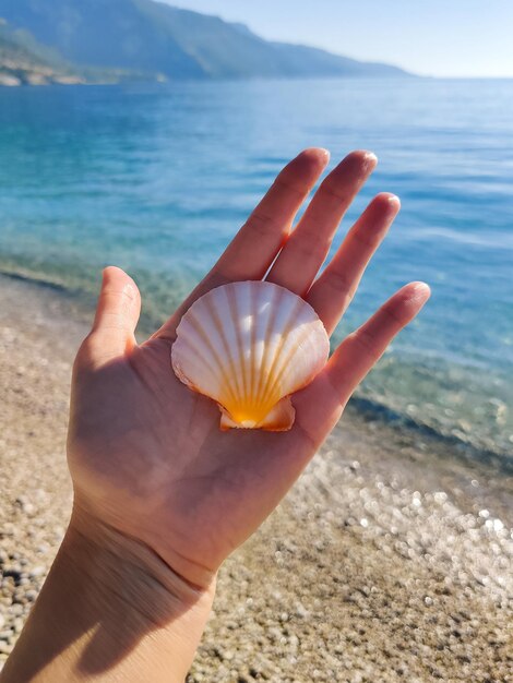 Trzymając w dłoni muszlę z widokiem na morze i plażę