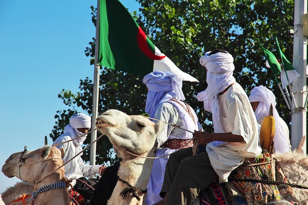 tuareg on camel, Algieria