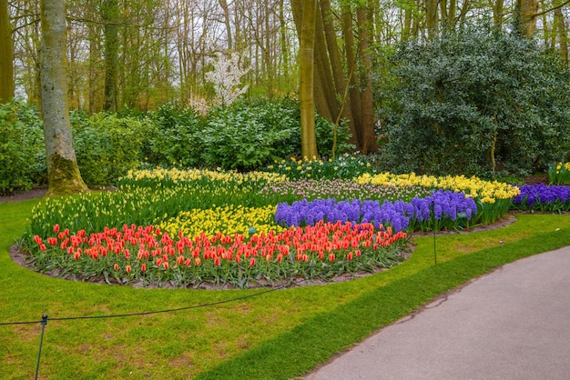 Tulipany i inne kwiaty w parku Keukenhof Lisse Holland Holandia