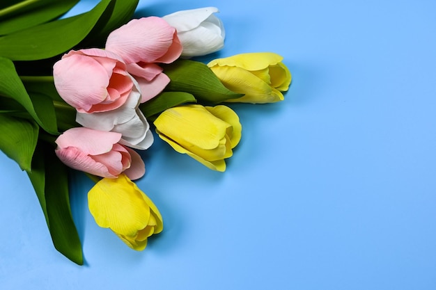 Tulipany i Wstążki na niebieskim tle