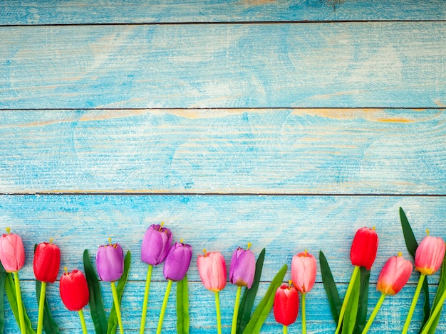 Tulipany na błękitnym drewnianym tle